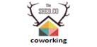 the-shed-coworking